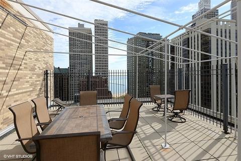 40 E Cedar St #3A, Chicago, IL 60611 photo 12