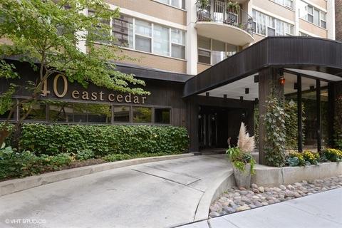 40 E Cedar St #3A, Chicago, IL 60611 photo 15