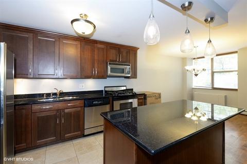 40 E Cedar St #3A, Chicago, IL 60611 photo 3