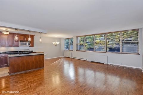 40 E Cedar St #3A, Chicago, IL 60611 photo 4