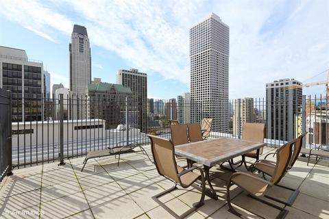 40 E Cedar St #3A, Chicago, IL 60611 photo 11