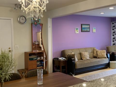 1175 Pleasant Run Dr #401, Wheeling, IL 60090 photo 7