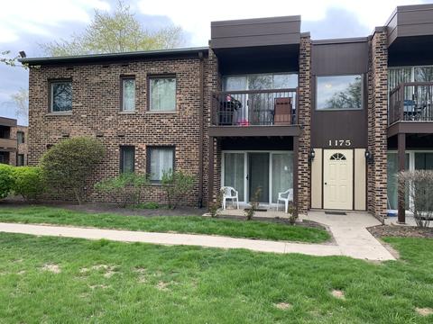 1175 Pleasant Run Dr #401, Wheeling, IL 60090 photo 1
