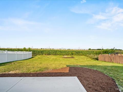 1217 Alene Dr, Plainfield, IL 60586 photo 26