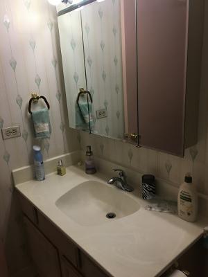 5400 Carriageway Dr #214, Rolling Meadows, IL 60008 photo 9