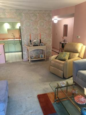 5400 Carriageway Dr #214, Rolling Meadows, IL 60008 photo 4