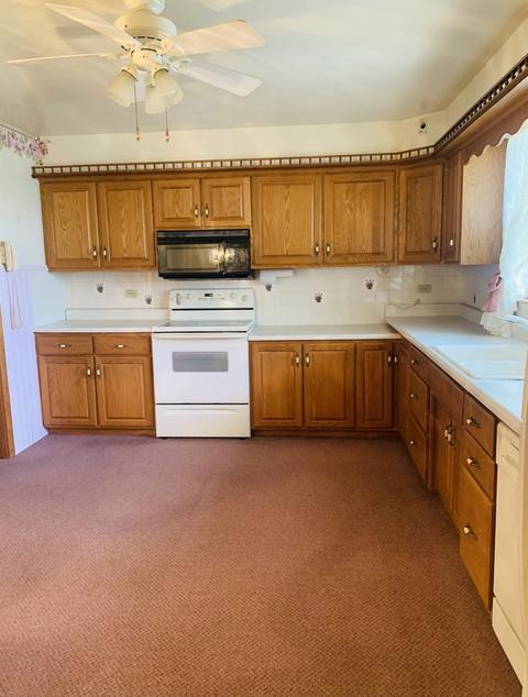 307 Elm St, Buckley, IL 60918 photo 10