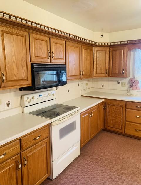307 Elm St, Buckley, IL 60918 photo 8