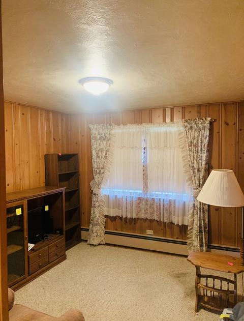 307 Elm St, Buckley, IL 60918 photo 12