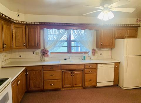 307 Elm St, Buckley, IL 60918 photo 9
