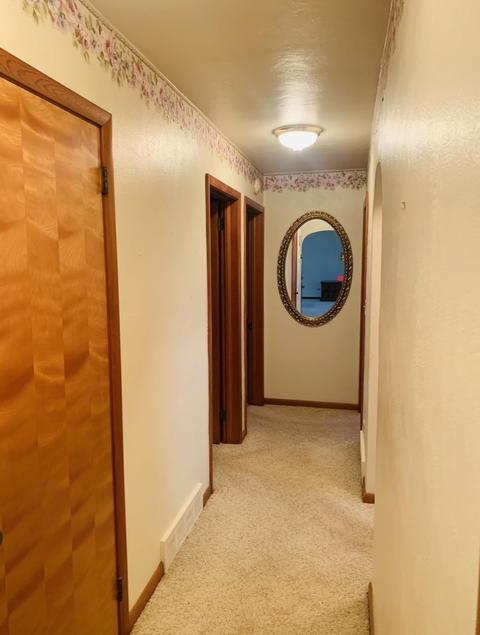 307 Elm St, Buckley, IL 60918 photo 11