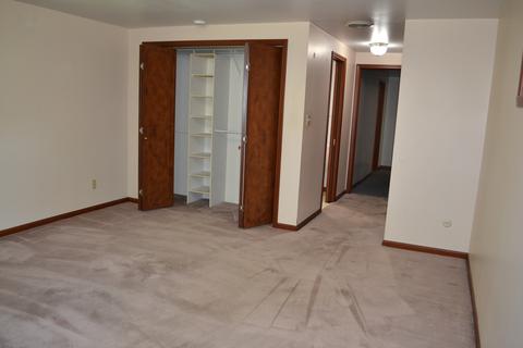 116 S Walker St, Braidwood, IL 60408 photo 16