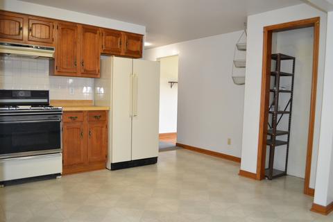 116 S Walker St, Braidwood, IL 60408 photo 5