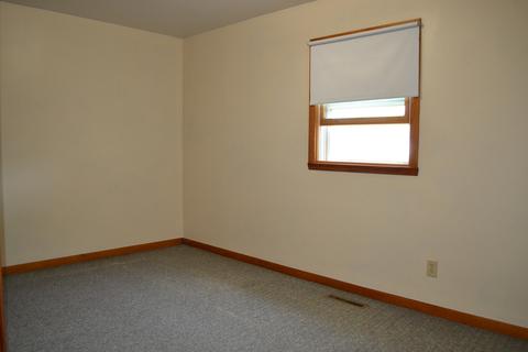 116 S Walker St, Braidwood, IL 60408 photo 11