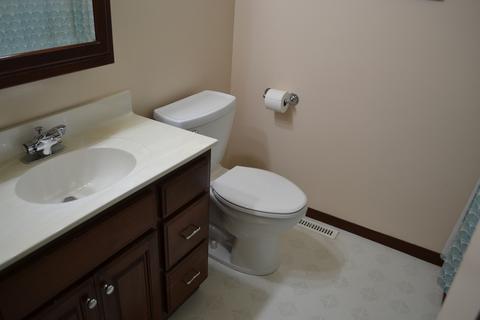 116 S Walker St, Braidwood, IL 60408 photo 12
