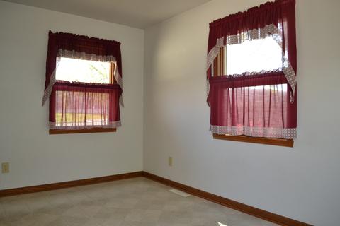 116 S Walker St, Braidwood, IL 60408 photo 8