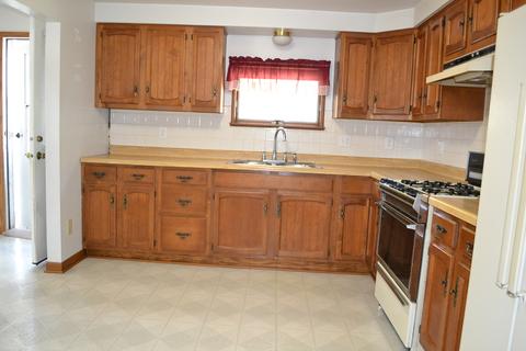 116 S Walker St, Braidwood, IL 60408 photo 6