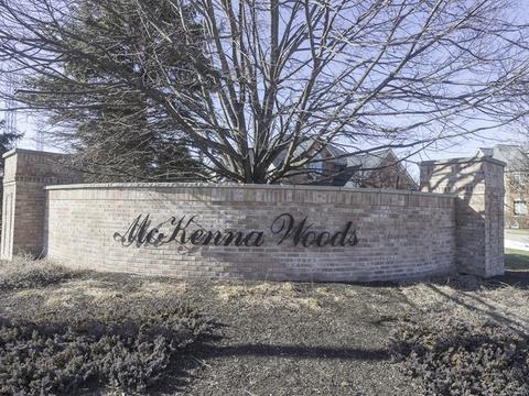 17455 S Honora Dr, Plainfield, IL 60586 photo 39