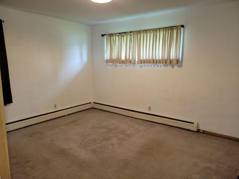 916 Warren St, Chenoa, IL 61726 photo 9