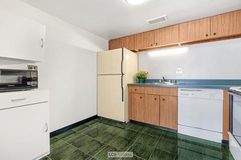 175 E Delaware Pl #7901, Chicago, IL 60611 photo 6