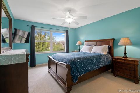 25023 Steeple Chase Dr, Plainfield, IL 60585 photo 30