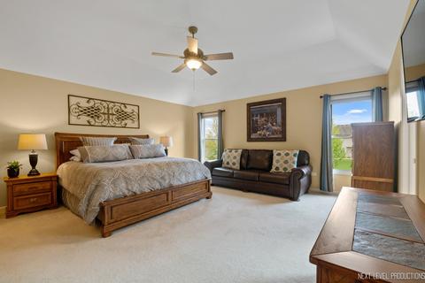 25023 Steeple Chase Dr, Plainfield, IL 60585 photo 21