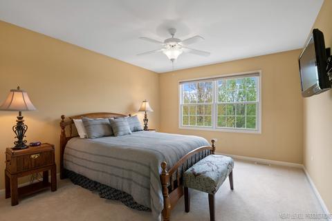 25023 Steeple Chase Dr, Plainfield, IL 60585 photo 28