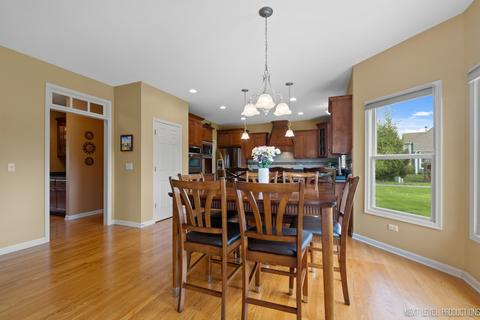 25023 Steeple Chase Dr, Plainfield, IL 60585 photo 14