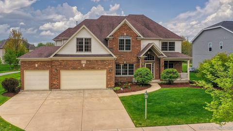 25023 Steeple Chase Dr, Plainfield, IL 60585 photo 1