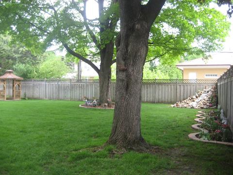 1019 Franklin Ave, River Forest, IL 60305 photo 18