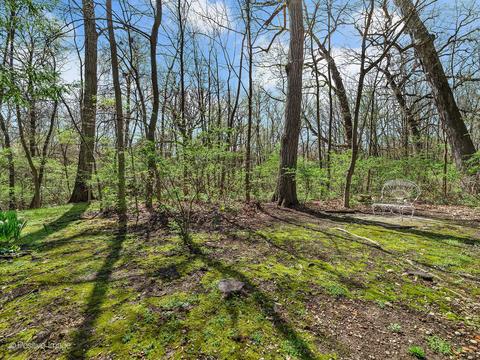 116 Oak Ridge Dr, Burr Ridge, IL 60527 photo 51