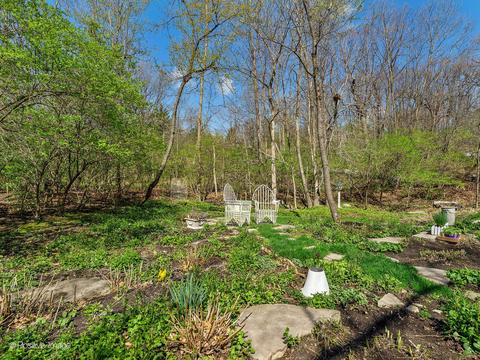 116 Oak Ridge Dr, Burr Ridge, IL 60527 photo 44