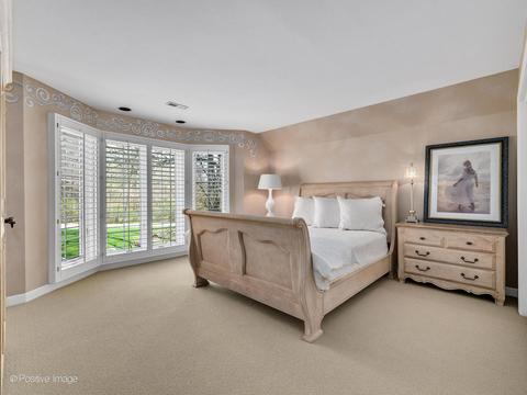 116 Oak Ridge Dr, Burr Ridge, IL 60527 photo 29