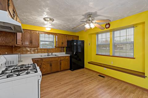225 Willow Rd, Matteson, IL 60443 photo 8