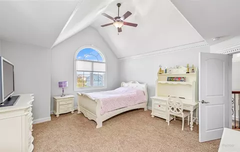 27021 N Rustic Wood Ln, Plainfield, IL 60585 photo 23