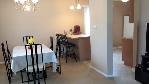 1395 Gloucester Ct, Hoffman Estates, IL 60192 photo 5