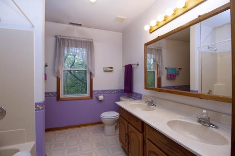 103 227th St, Steger, IL 60475 photo 13