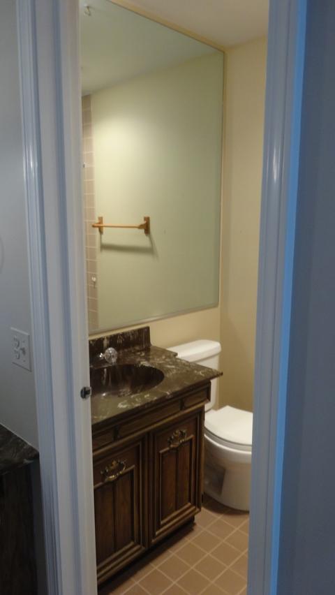 12 Birch Tree Ct, Elmhurst, IL 60126 photo 25