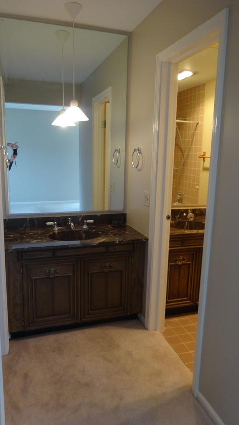 12 Birch Tree Ct, Elmhurst, IL 60126 photo 24