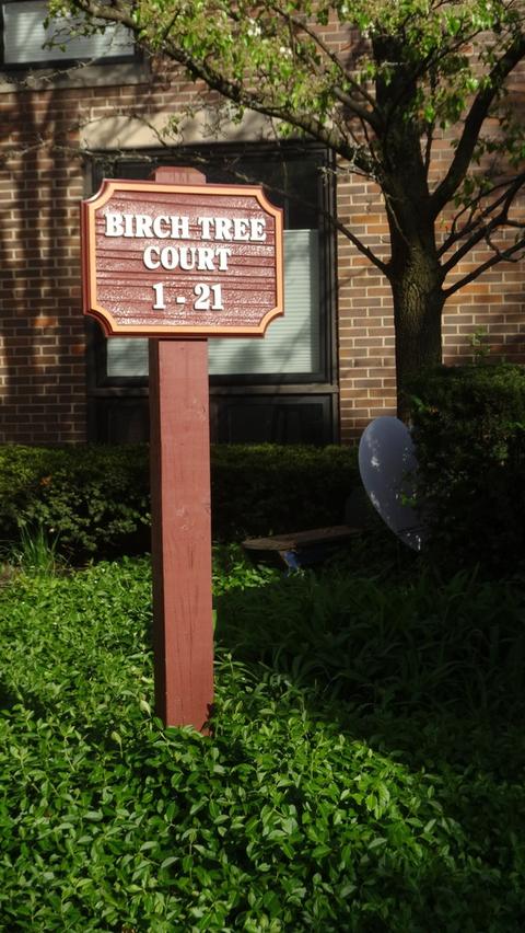 12 Birch Tree Ct, Elmhurst, IL 60126 photo 49