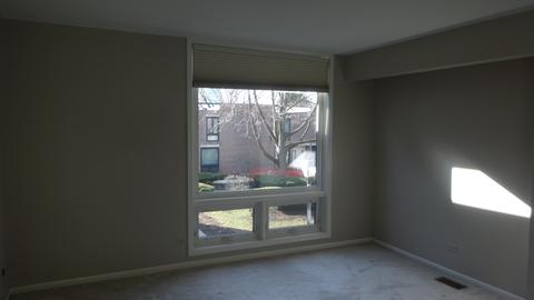 12 Birch Tree Ct, Elmhurst, IL 60126 photo 20