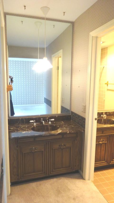 12 Birch Tree Ct, Elmhurst, IL 60126 photo 23