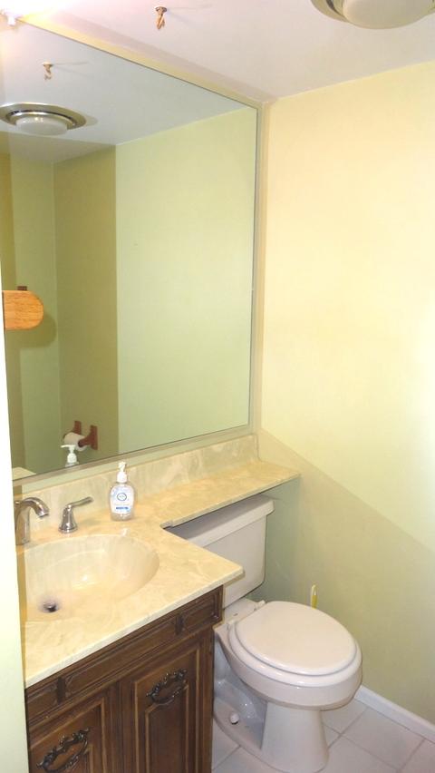 12 Birch Tree Ct, Elmhurst, IL 60126 photo 18