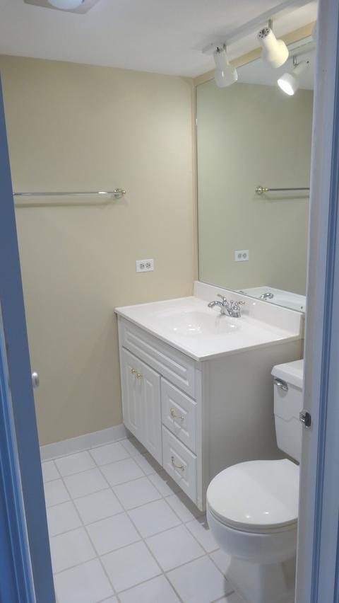 12 Birch Tree Ct, Elmhurst, IL 60126 photo 32
