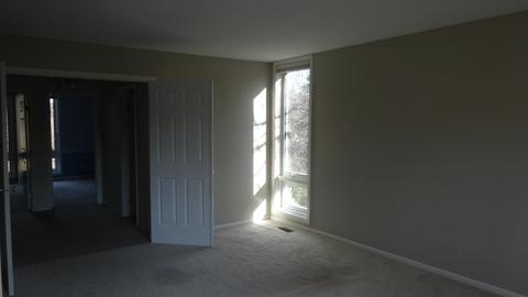 12 Birch Tree Ct, Elmhurst, IL 60126 photo 21