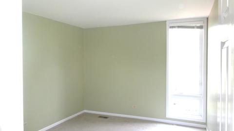 12 Birch Tree Ct, Elmhurst, IL 60126 photo 28