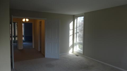 12 Birch Tree Ct, Elmhurst, IL 60126 photo 22