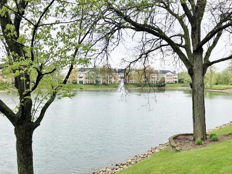 5500 Carriageway Dr #101C, Rolling Meadows, IL 60008 photo 3