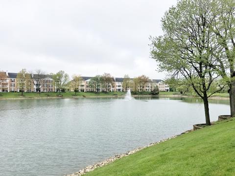 5500 Carriageway Dr #101C, Rolling Meadows, IL 60008 photo 4