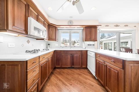 515 E Park Manor Ct, Elmhurst, IL 60126 photo 5